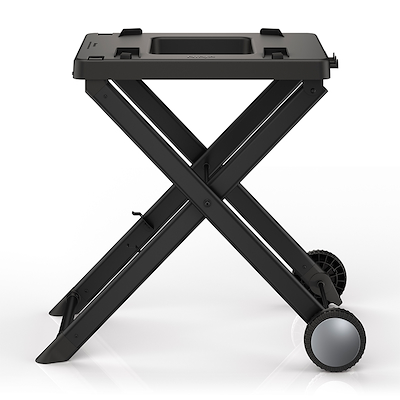 Ninja Woodfire grill stand til elektrisk BBQ