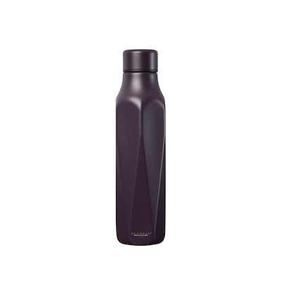 Scanpan Explore termoflaske 500 ml plum