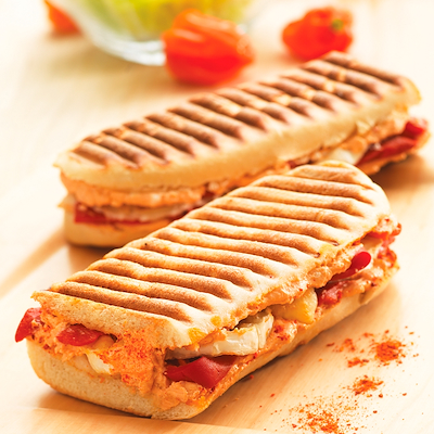 Tefal Snack Collection panini grill