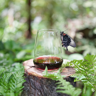 Stölzle Cocoon vandglas 44,7 cl 6 stk