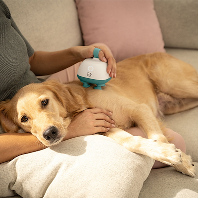 Beurer PetCare PP 410 massageapparat til kæledyr hvid