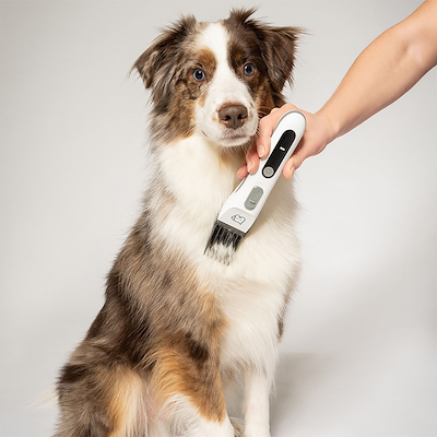 Beurer PetCare PP 110 trimmer til kæledyr hvid