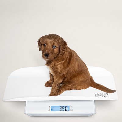 Beurer PetCare PP 170 Polly vægt til kæledyr hvid