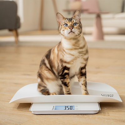 Beurer PetCare PP 170 Polly vægt til kæledyr hvid