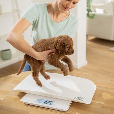 Beurer PetCare PP 170 Polly vægt til kæledyr hvid