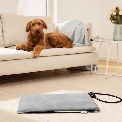 Beurer PetCare PP220 Sammy L varmemåtte grå 50x33 cm