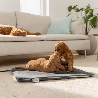 Beurer PetCare PP220 Sammy L varmemåtte grå 50x33 cm