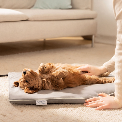 Beurer PetCare PP 210 Lilli S varmemåtte grå 35x20 cm