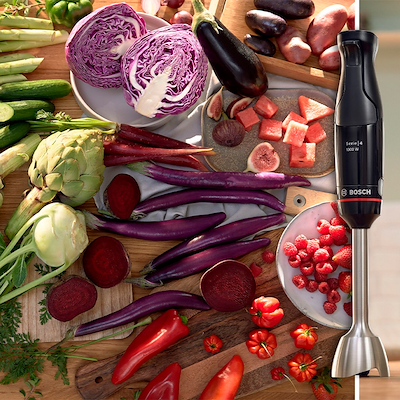 Bosch Ergomaster Series 4 MSM4B621 stavblender 1000 watt