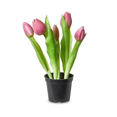 5 stk. kunstige tulipaner i potte H 25 cm rosa