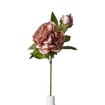 Pæon stilk H 69 cm støvet rosa