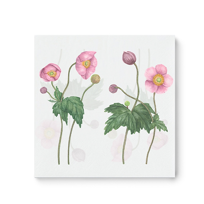 Kähler Hammershøi papirserviet 2026 høstanemone 20x20 cm 20 stk.