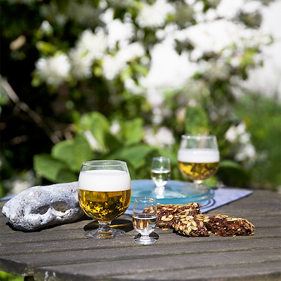 Holmegaard Det Danske snapseglas 2 stk