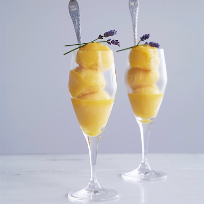 Holmegaard Perfection champagneglas 23 cl