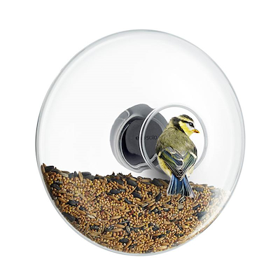 Eva Solo vinduesfoderkugle klar glas 20 cm