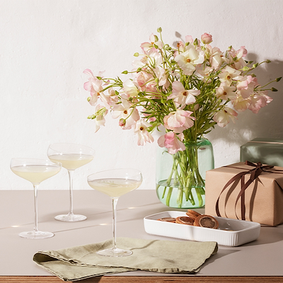 Eva Solo champagneglas coupe 20 cl