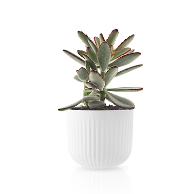 Eva Trio Legio Nova urtepotteskjuler 13 cm