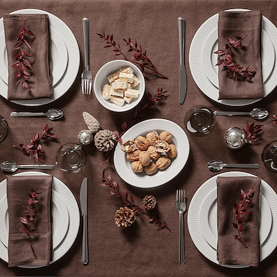 Eva Solo glas røgfarvet 48 cl