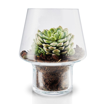 Eva Solo sukkulent glasvase klar 15 cm