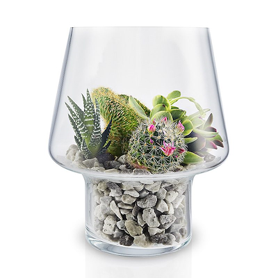 Eva Solo sukkulent glasvase klar 15 cm