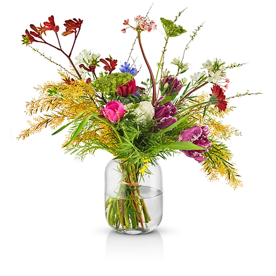 Eva Solo Acorn vase clear H16,5 cm