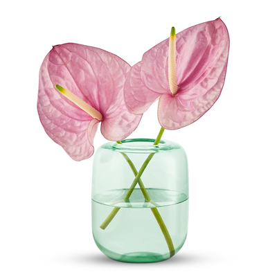 Eva Solo Acorn vase mint green H16,5 cm