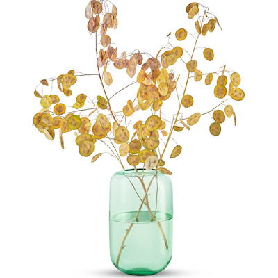 Eva Solo Acorn vase mint green H22 cm