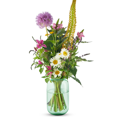Eva Solo Acorn vase mint grøn h 22 cm