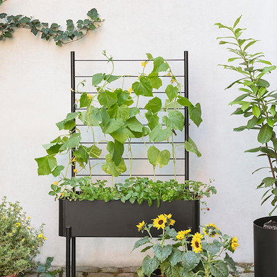 Eva Solo Simply Grow plantekasse sort