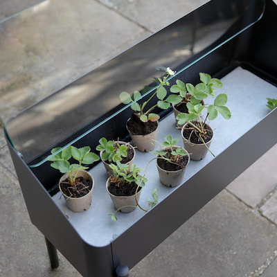 Eva Solo Simply Grow spirekasse sort 80x63x33 cm