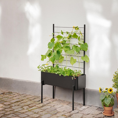 Eva Solo Simply Grow espalier sort 70x102 cm
