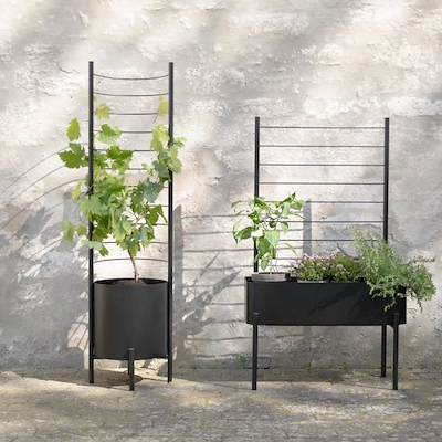 Eva Solo Simply Grow espalier sort 70x102 cm