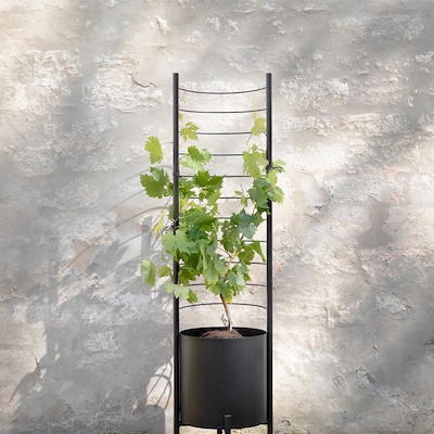 Eva Solo Simply Grow espalier sort 70x102 cm