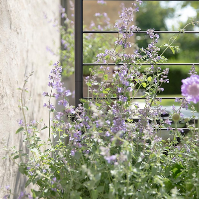 Eva Solo Simply Grow espalier sort 70x102 cm