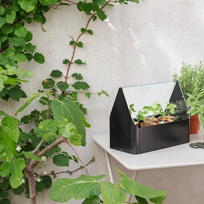 Eva Solo Simply Grow mini drivhus sort 20x42x32 cm