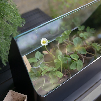 Eva Solo Simply Grow mini drivhus sort 20x42x32 cm