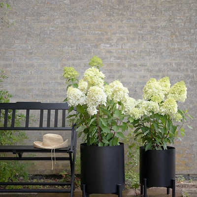 Eva Solo Simply Grow potteskjuler sort 9,2 liter