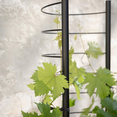 Eva Solo Simply Grow espalier sort