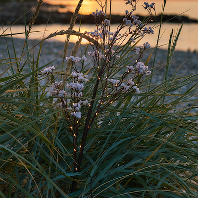 Sirius Michel blomstergren hvid 45 LED H85 cm
