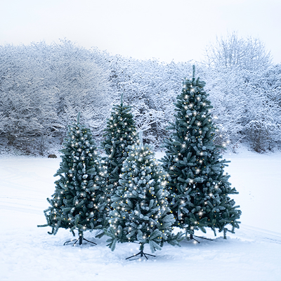 Sirius Anton juletræ med sne 273 LED H2,1 meter
