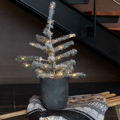 Sirius Alfred LED juletræ H60 cm