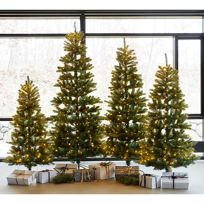 Sirius Elton juletræ med LED knirke H2,4 meter