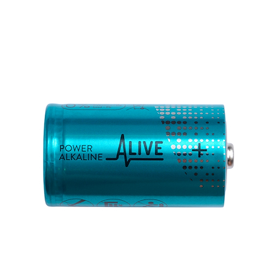 Batteri DLR20 1,5V 2-pak