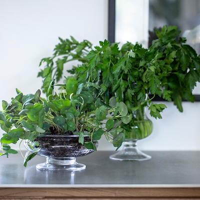 Holmegaard Old English blomsterskål Ø25 + vase H24 klar