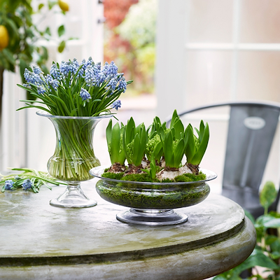 Holmegaard Old English blomsterskål Ø25 + vase H24 klar