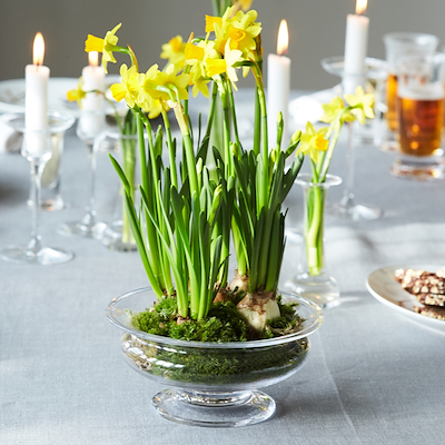 Holmegaard Old English blomsterskål Ø25 + vase H24 klar