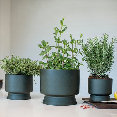 Rosendahl urtepotteskjuler genbrugsplast mørkegrøn 12 cm