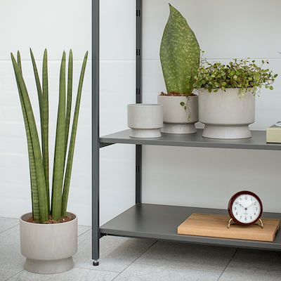 Rosendahl RO urtepotteskjuler sand Ø15 cm