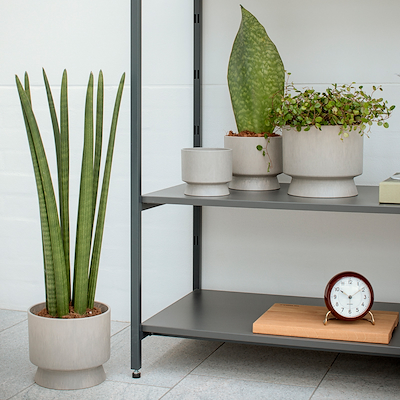 Rosendahl Grand Cru Recycled urtepotteskjuler sand Ø24 cm