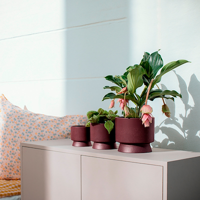 Rosendahl RO urtepotteskjuler bordeaux Ø19 cm